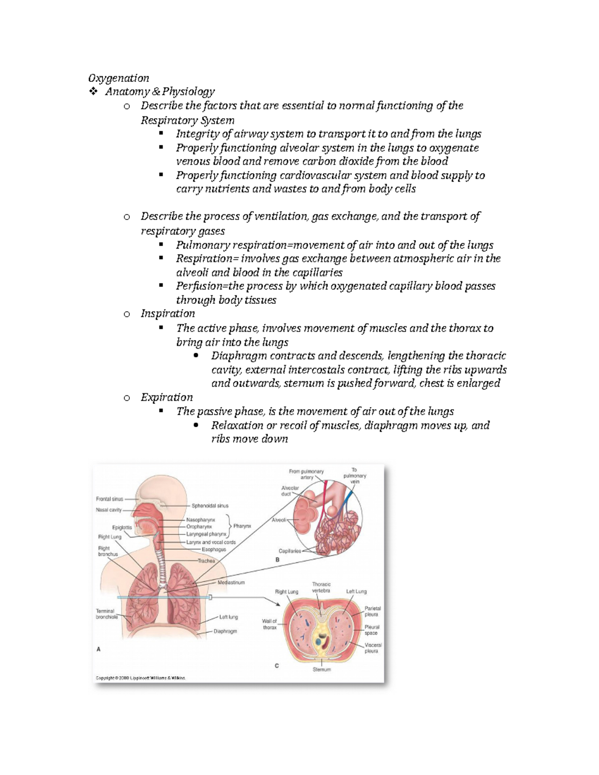 Oxygenation Study Guide Packet 5 Ex 1 - Oxygenation Anatomy ...