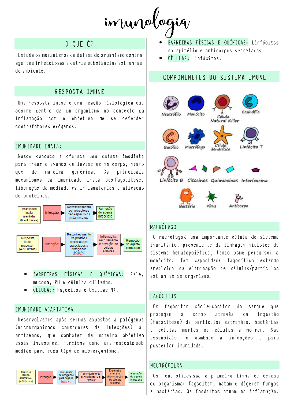 Imunologia - Resumo imuno - imunologia • • • • • • • • • •. - Studocu
