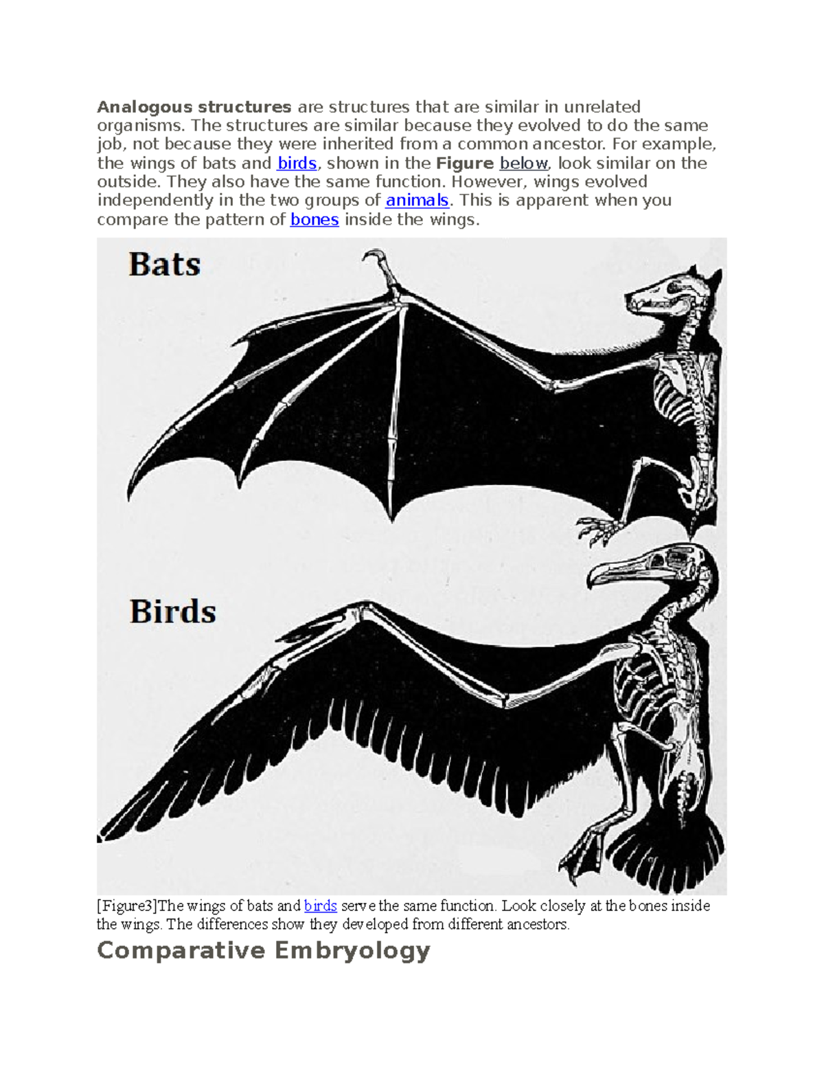 Biology Study Guide part 29 - Analogous structures are structures that ...