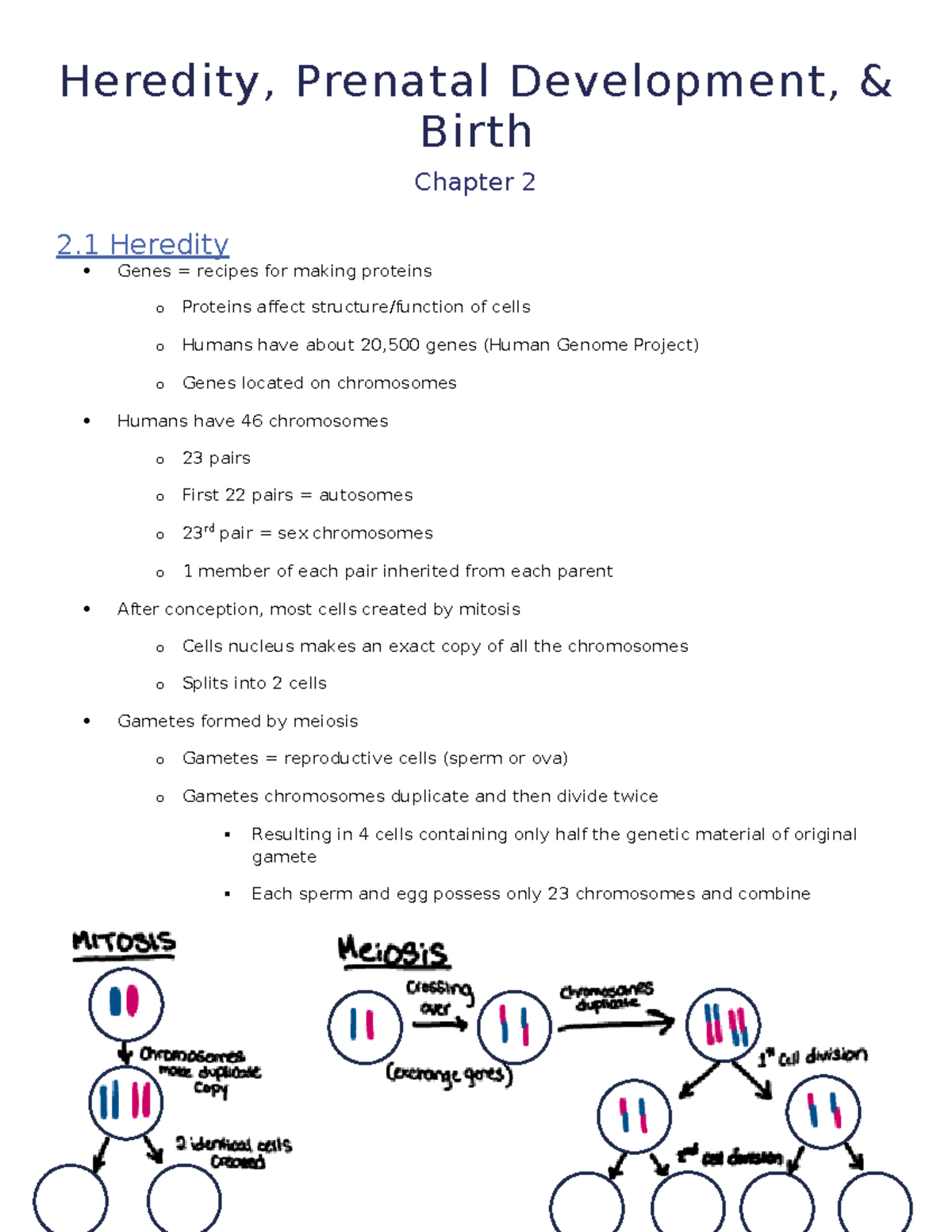 Ch.2 Notes - Heredity, Prenatal Development & Birth - Heredity ...