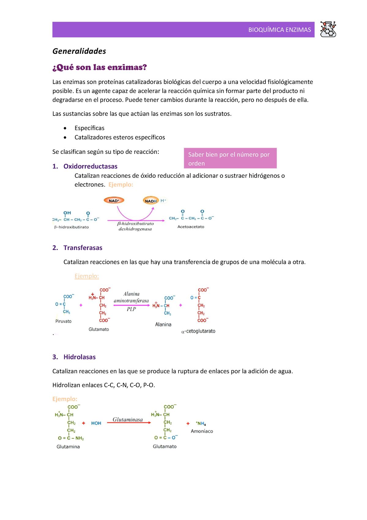 Res Men Enzimas Bioquimica Generalidades Qu Son Las Enzimas Las