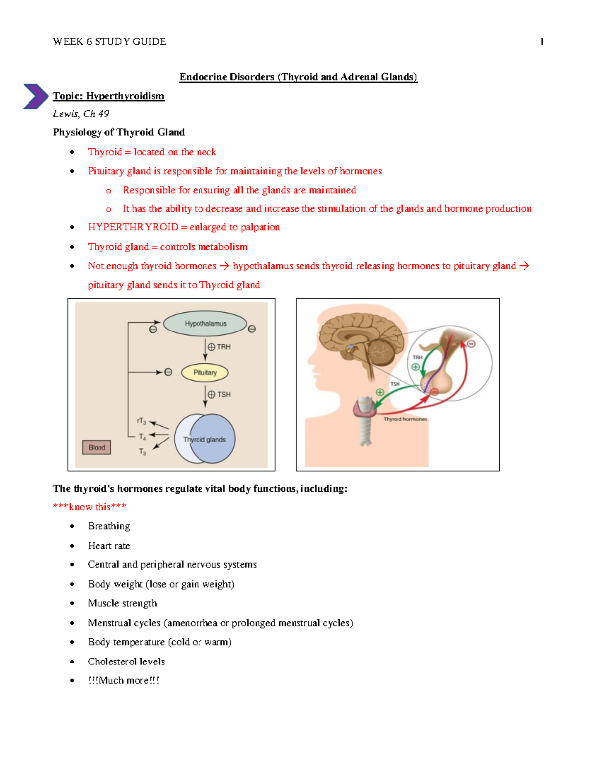 Week 6 study guide - Endocrine Disorders (Thyroid and Adrenal Glands ...
