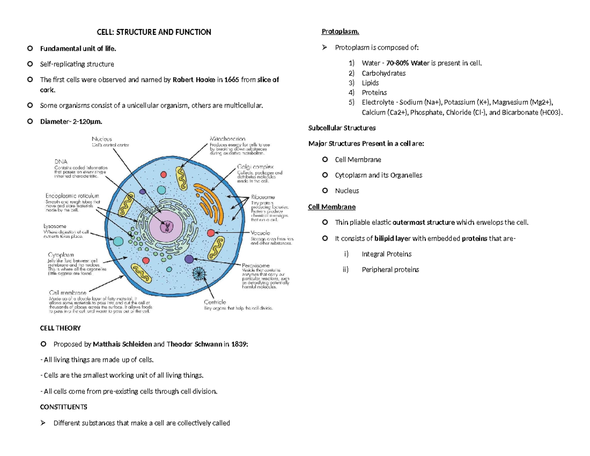 CELL - ANATOMY AND PHYSIOLOGY - CELL: STRUCTURE AND FUNCTION ...