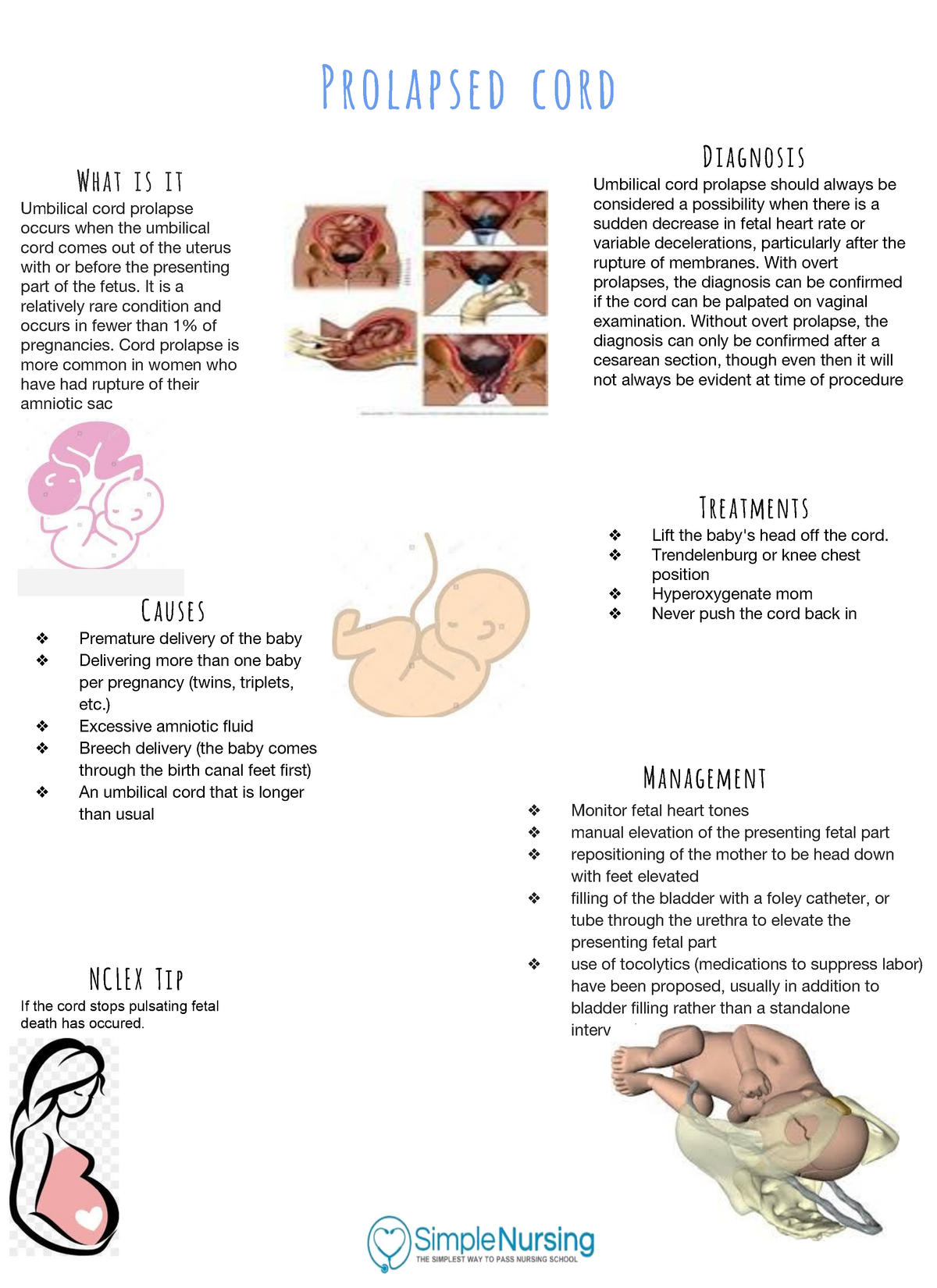 Prolapsed Cord Simple Nursing Notes Integrated Praxis Whitireia