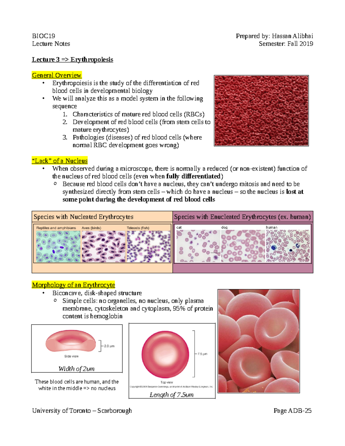 BIOC19 Lecture 3 Notes - Lecture Notes Semester: Fall 2019 Lecture 3 ...