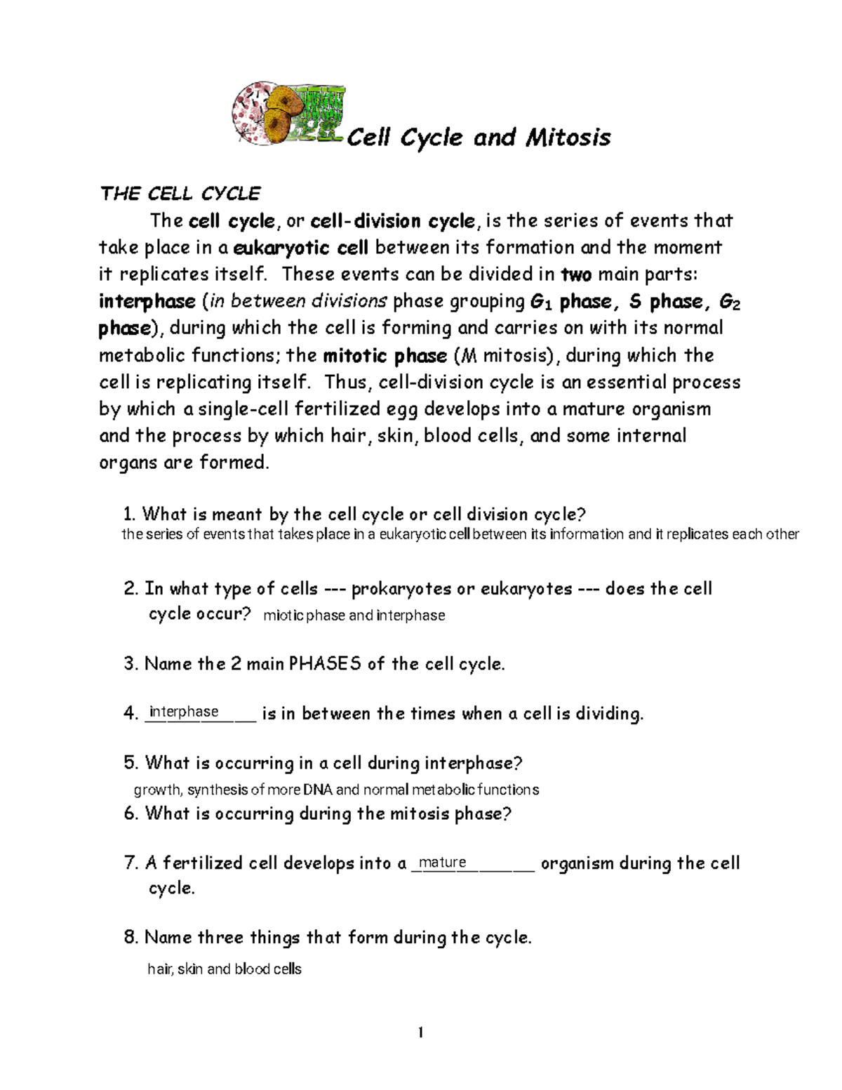 Kami Export - Vince Le - Cell Cycle & Mitosis honors 22 - Cell Cycle ...