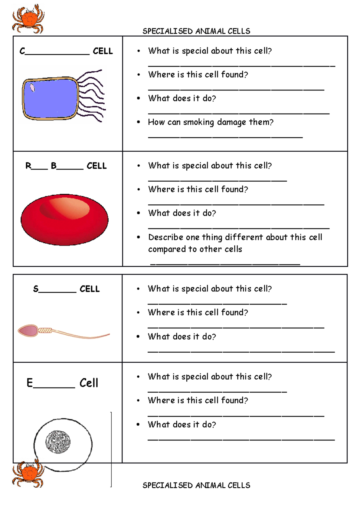 hgfgfghfghft fghfgjfghf tfhhrru - SPECIALISED ANIMAL CELLS C ...