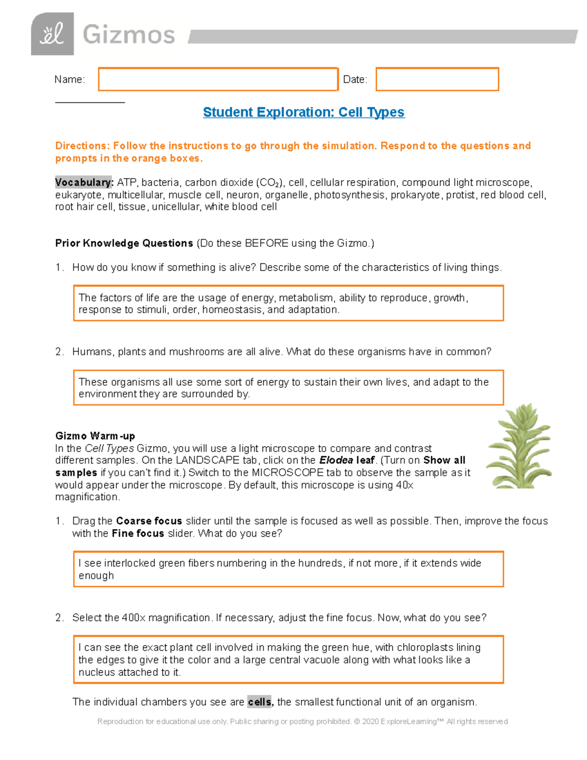 Cell Types Student Exploration - Name: Date: Student Exploration: Cell ...