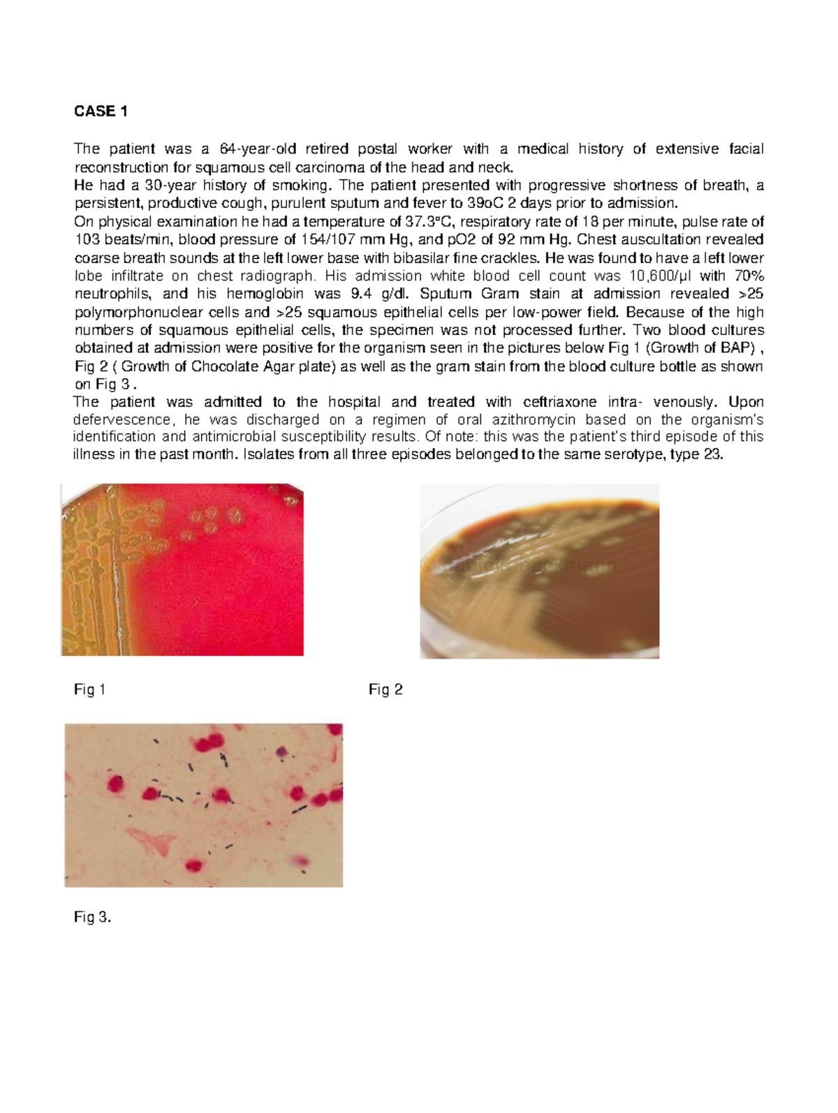 case-ulit1-bacterial-culture-case-1-the-patient-was-a-64-year-old