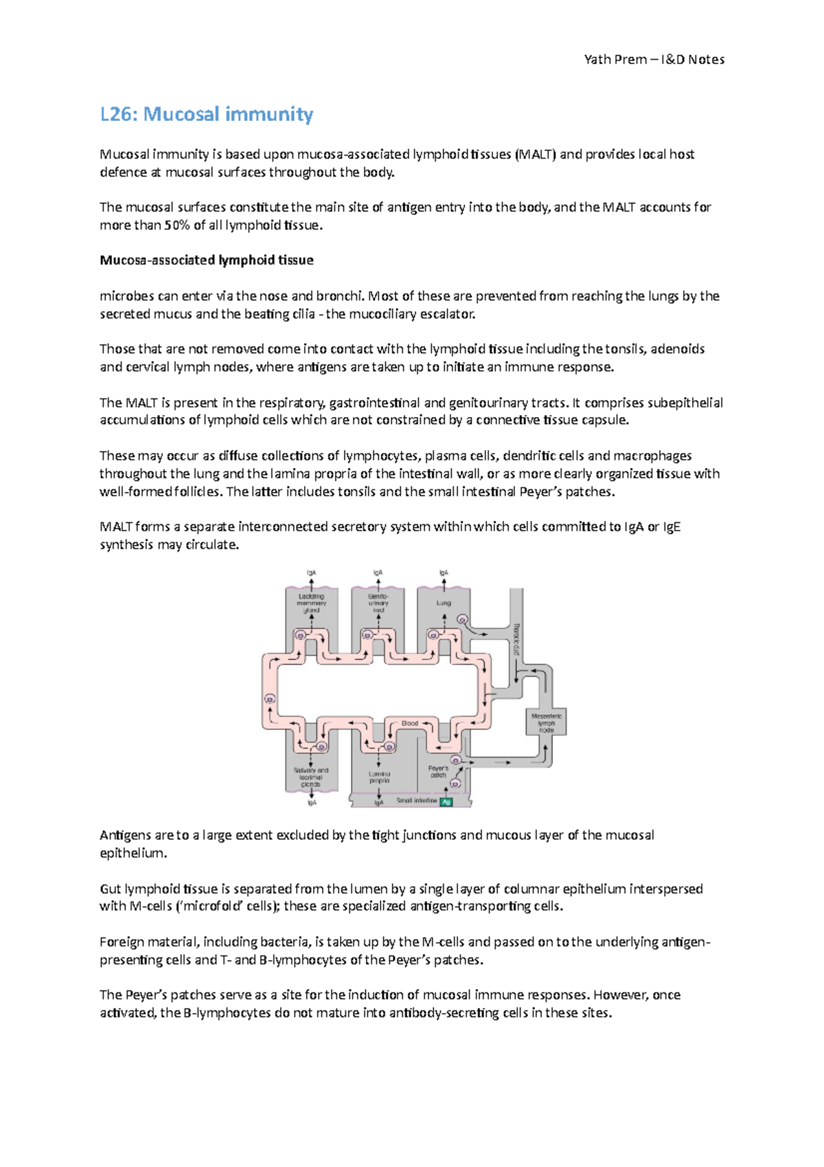 L26 mucosal immunity - Lecture notes on immunology - Yath Prem – I&D ...
