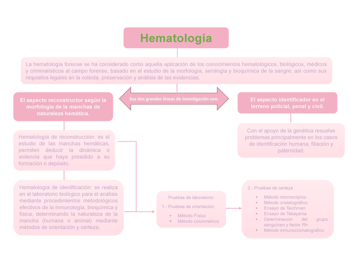 Esquema de hematología - Hematología La hematología forense se ha  considerado como aquella - Studocu