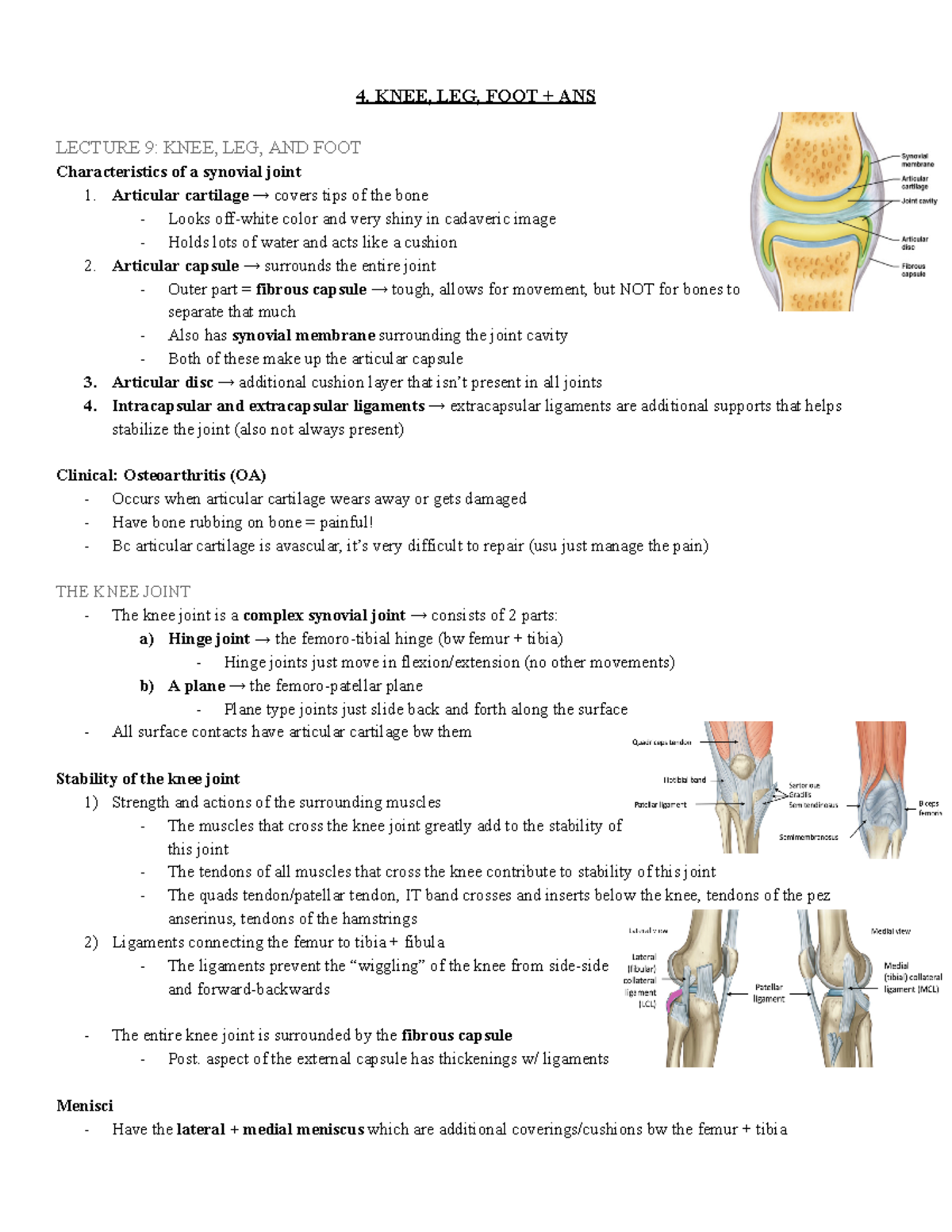 4. knee, leg, foot - summary of knee, leg, and foot lecs - 4. KNEE, LEG ...