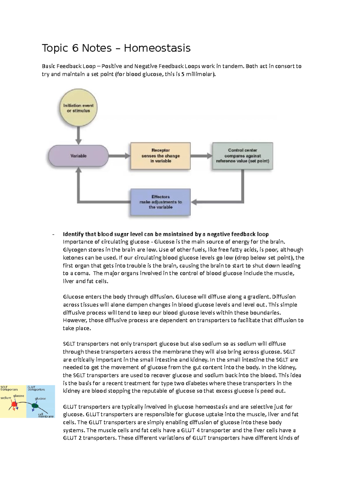 Homeostasis Lecture 6 Notes Topic 6 Notes Homeostasis Basic