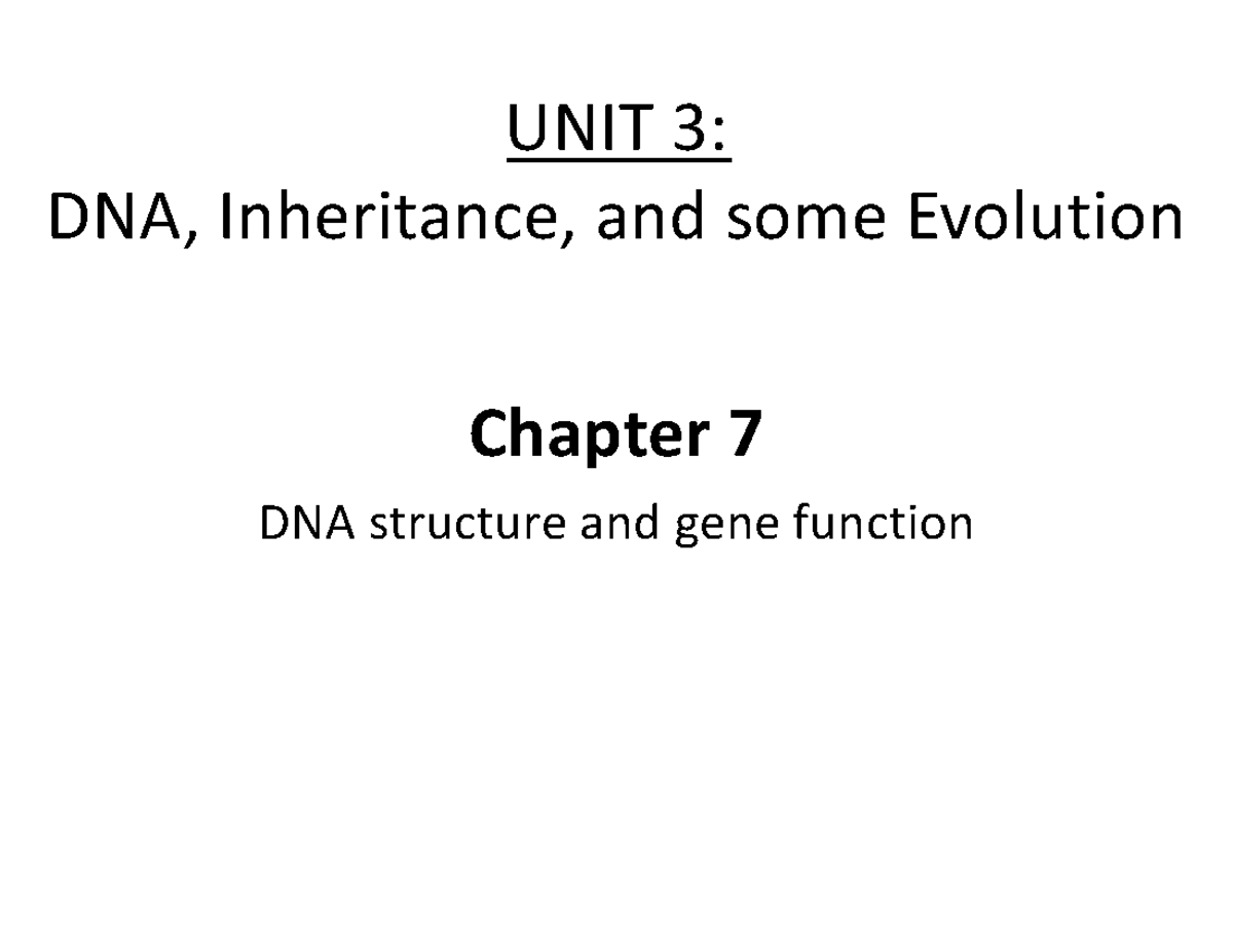 Chapter+7+Lecture DNA+Structure+and+Function-Fa24 - UNIT 3: DNA ...