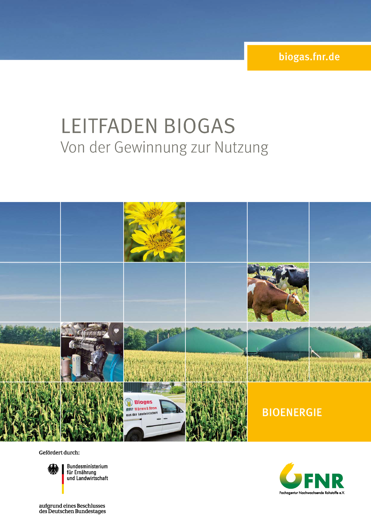 Leitfaden Biogas Web V01 - BIOENERGIE Nachwachsende-rohstoffe.debiogas ...