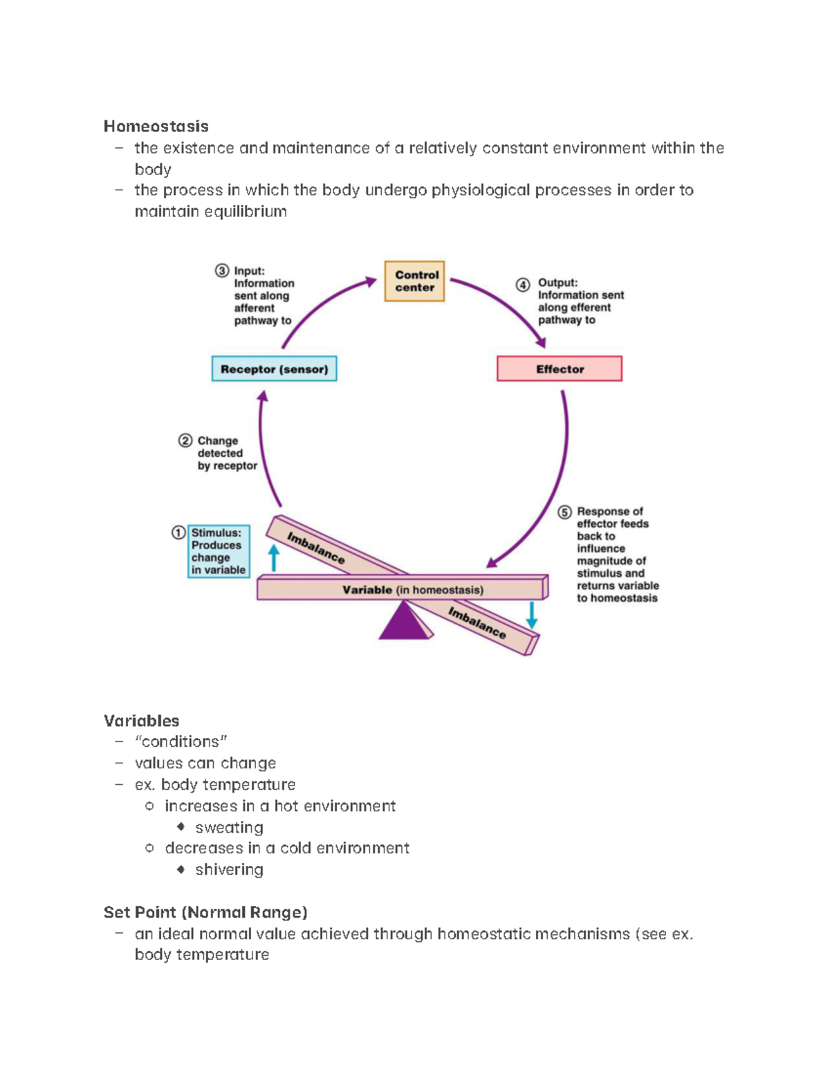 Homeostasis - Homeost'sis – the existence +nd m+inten+nce of + rel ...