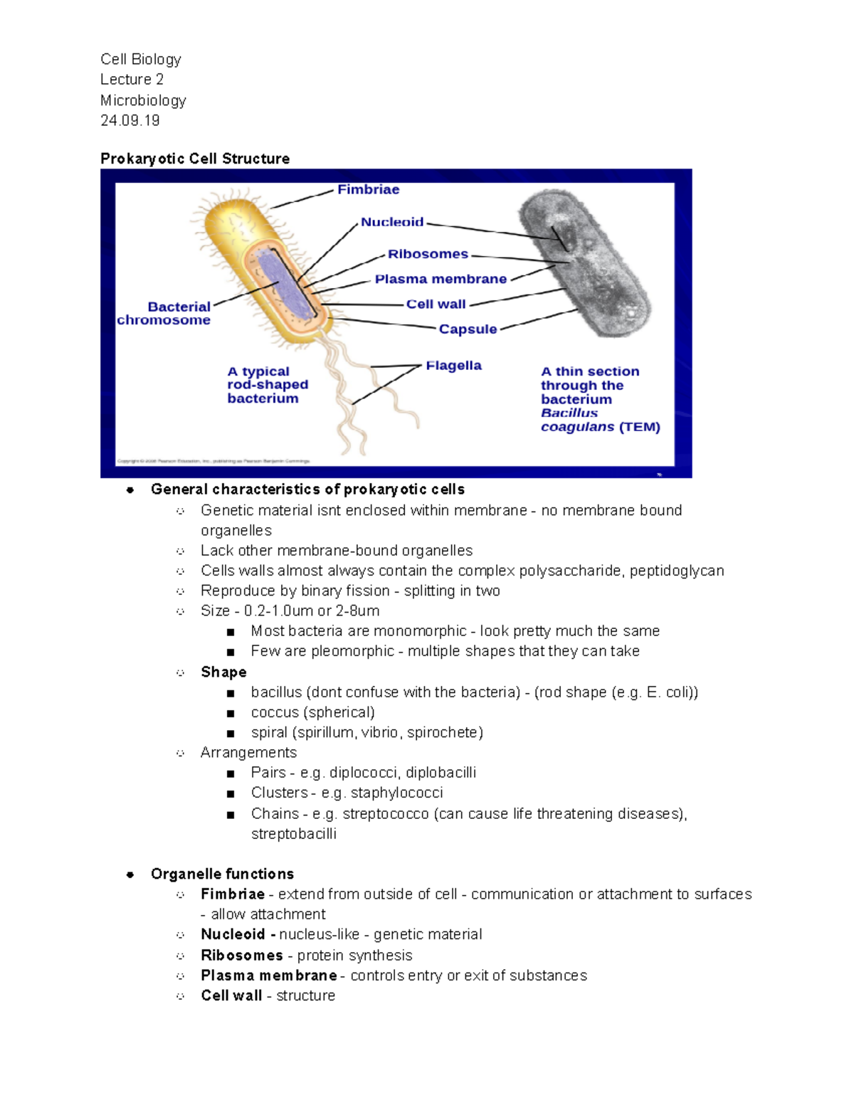 Lecture 3 Prokaryotic Cell Structure - Cell Biology Lecture 2 ...