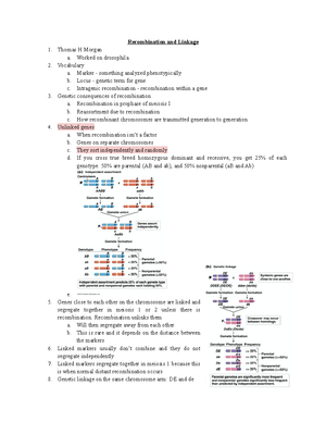 F-Section II-2020 (b To B), Molecular Genetics - SECTION II FROM ...