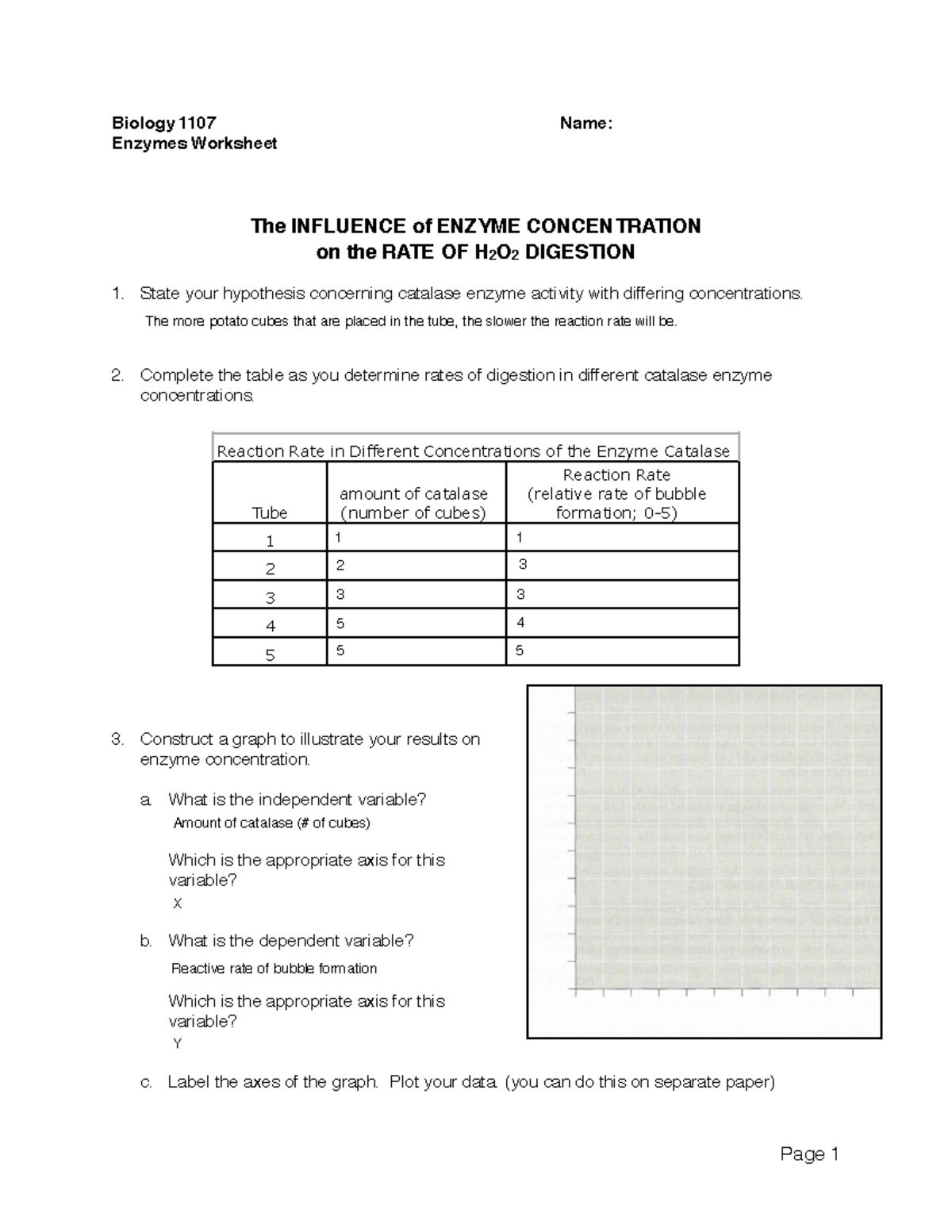 Enzymes_Worksheet - Biology 1107 Name: Enzymes Worksheet The INFLUENCE ...