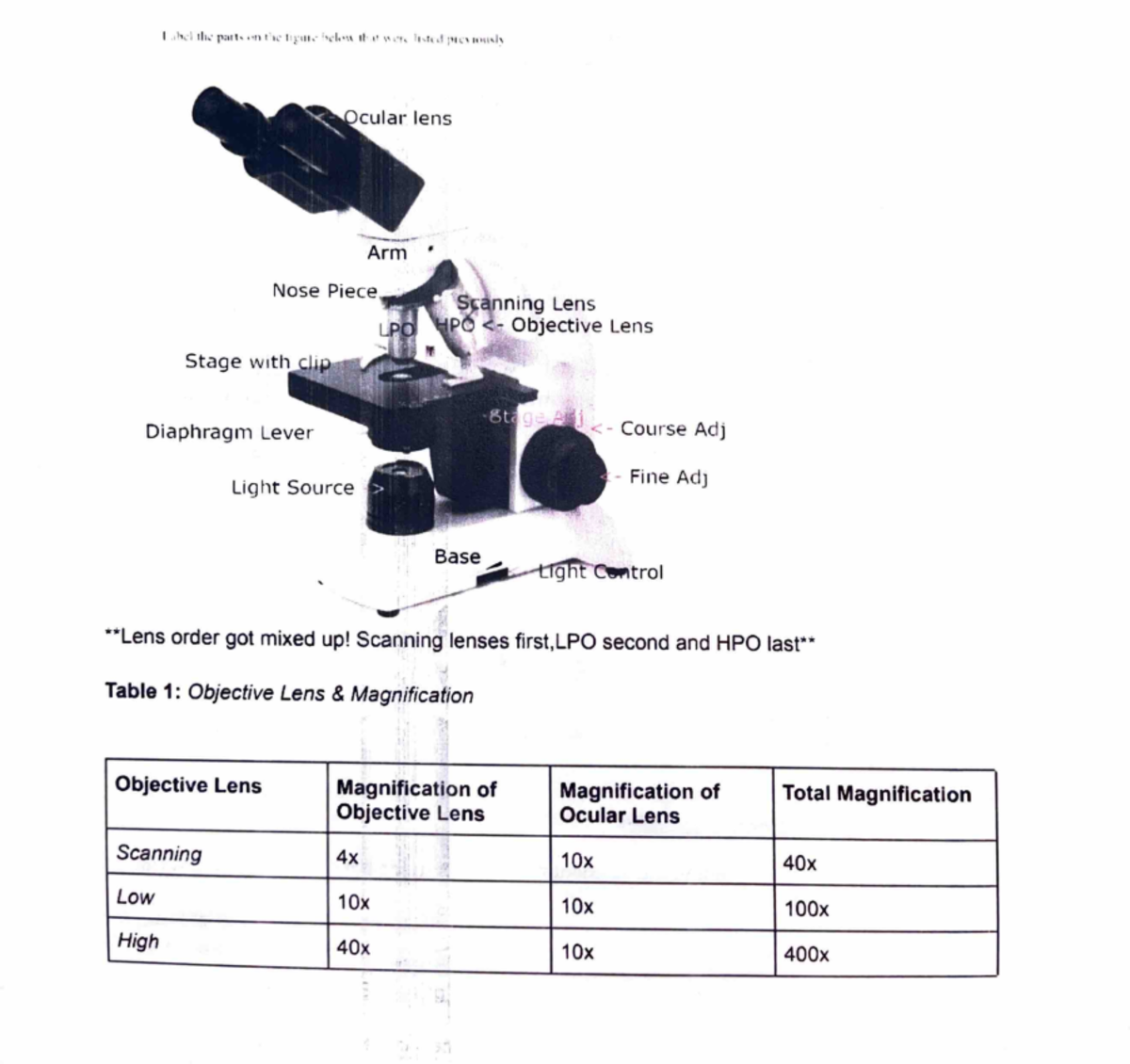 Microscope lab lab of the week Arm • Stage w i th Diaphragm Lever