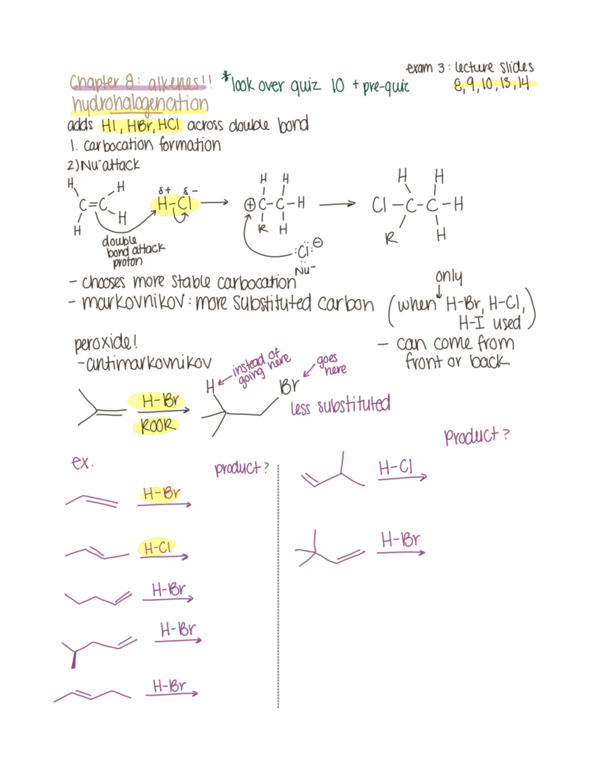 Exam 3 study - Summaries of every major chapter of the last third of ...