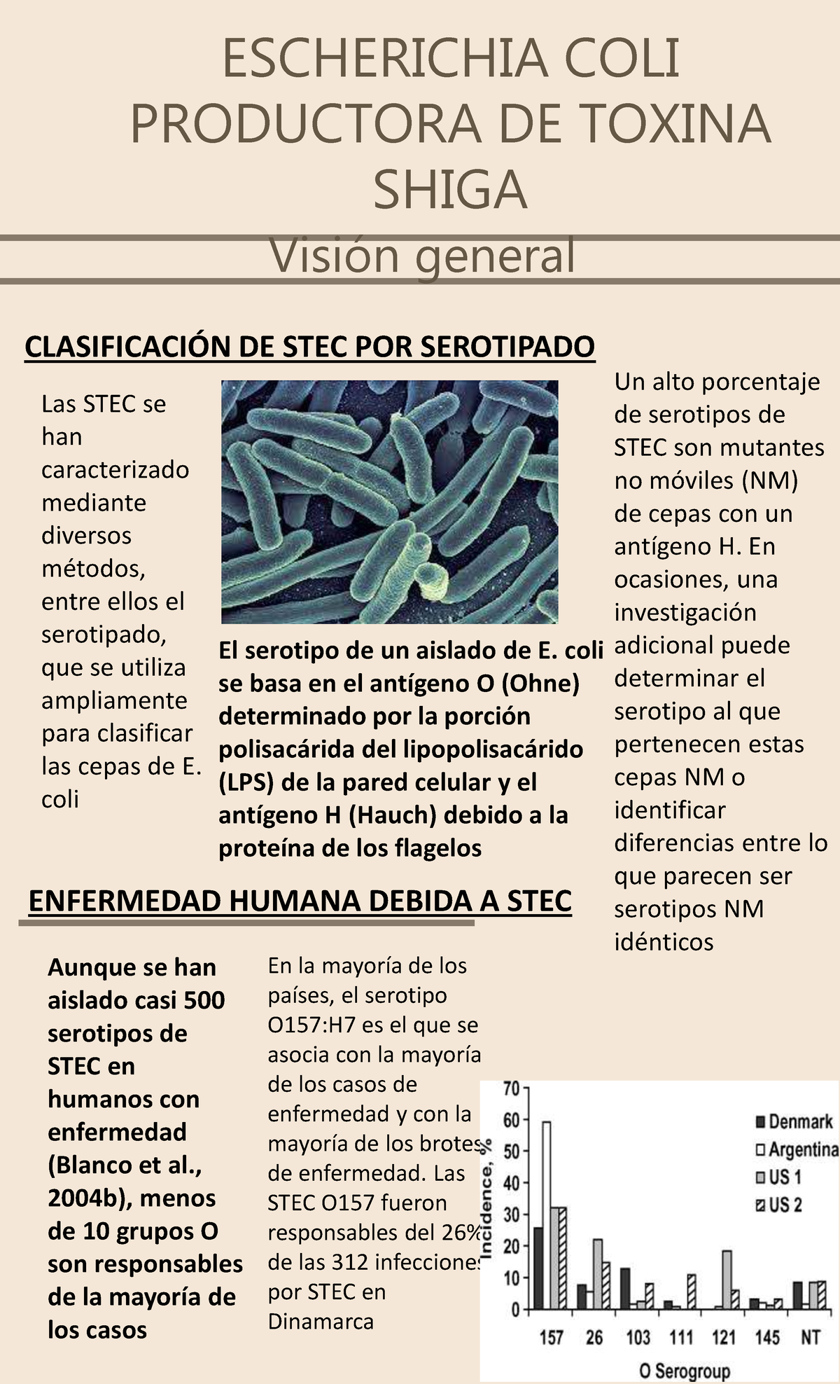 Toxina Shigan Microbiologia De Alimentos, Ppts - ESCHERICHIA COLI ...