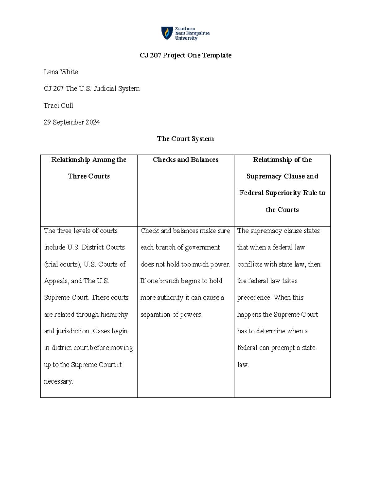 CJ 207 Project One - The court System - CJ 207 Project One Template ...