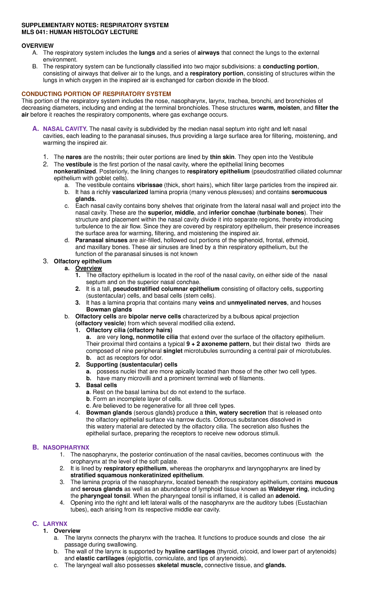 Supplementary Notes Respiratory System - SUPPLEMENTARY NOTES ...