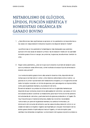 dieta cetogénica epilepsia - ¿Qué es?