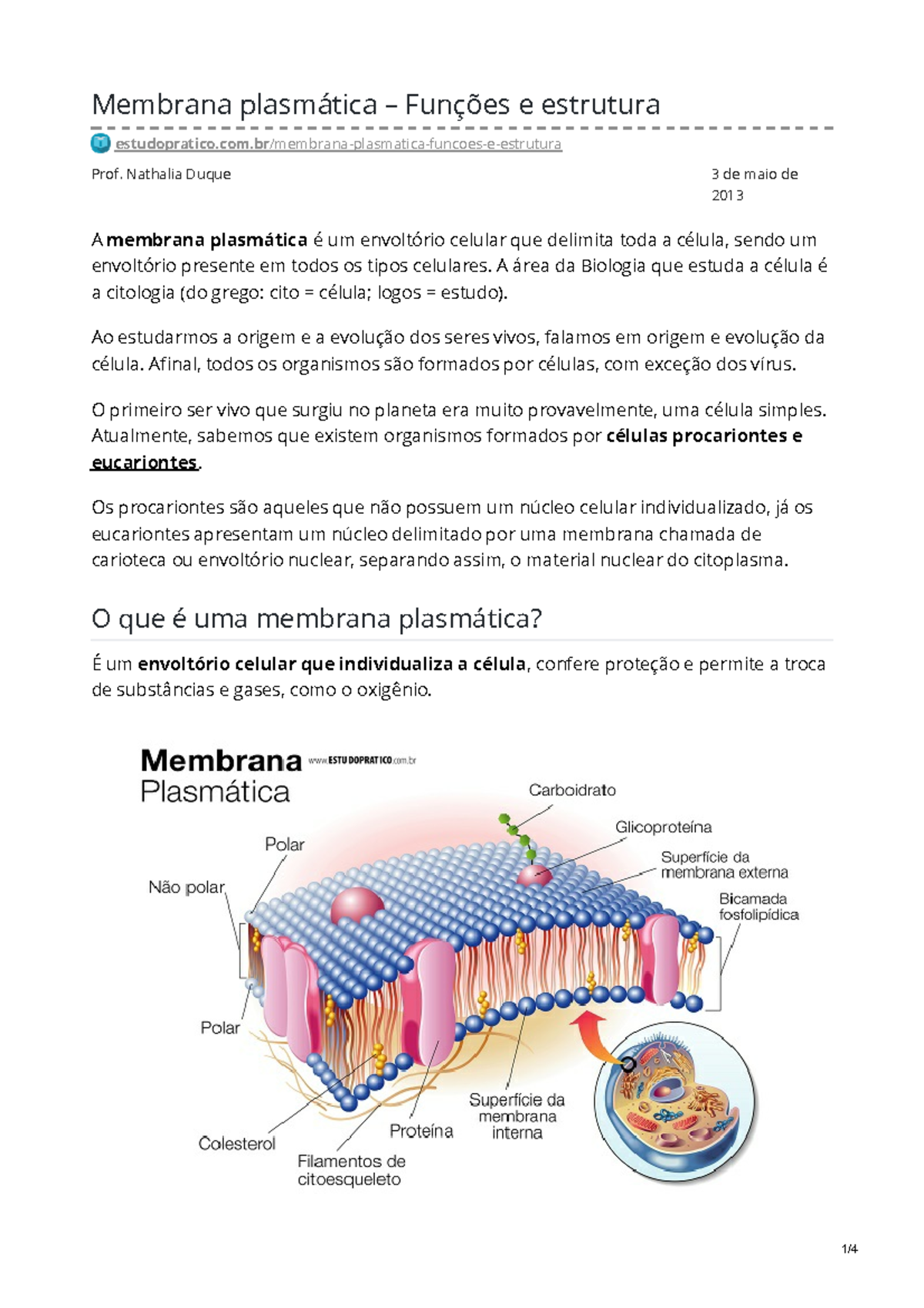 Estudopratico.com.br-Membrana plasmática Funções e estrutura - Prof ...