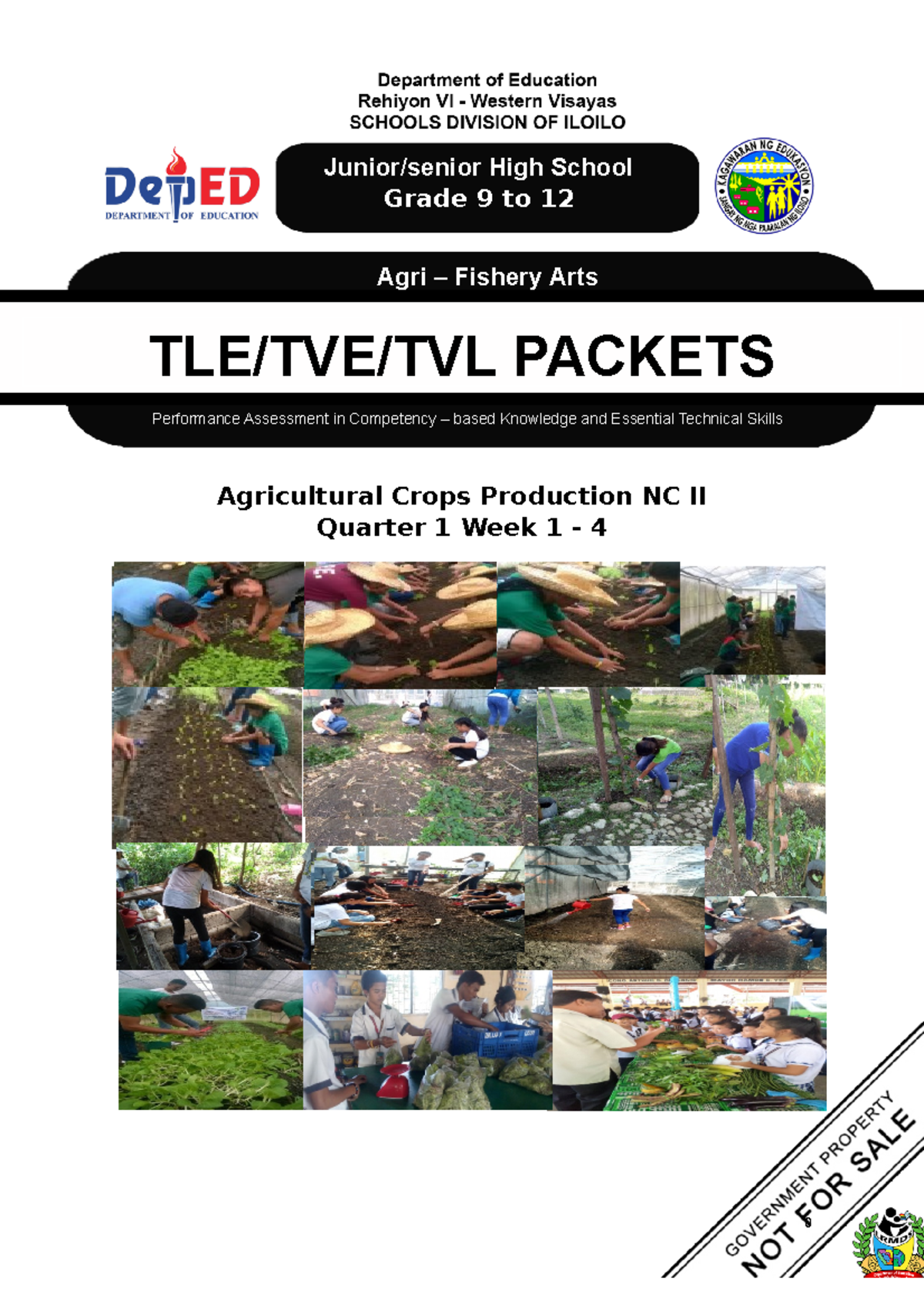 Worksheet 1 Grade 10 Nc Ii Week 1 4 Agricultural Crops Production