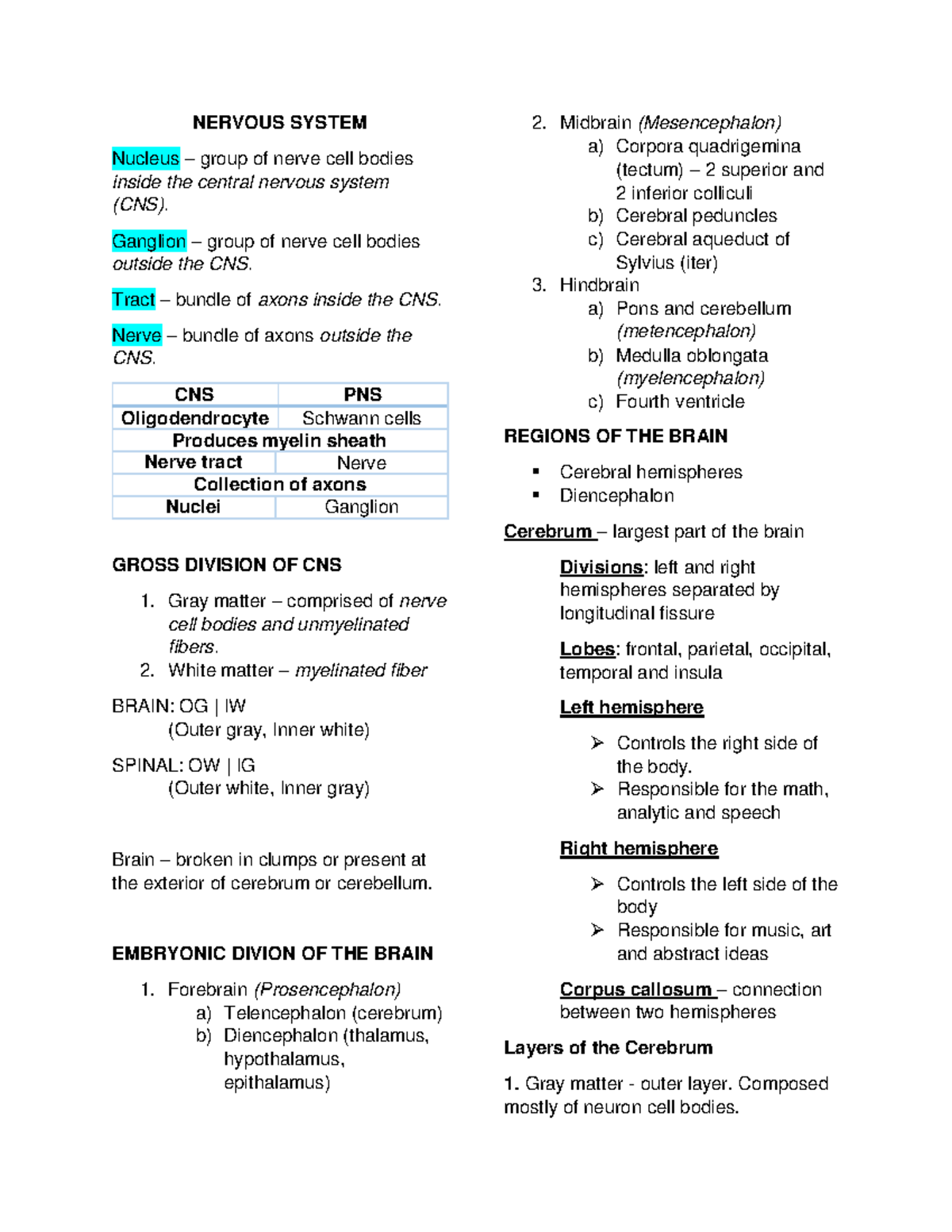 nervous-system-nervous-system-nucleus-group-of-nerve-cell-bodies