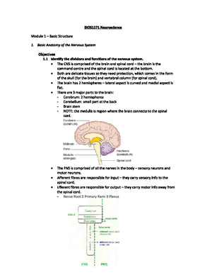 Studocu - Free Lecture Notes, Summaries & Exam Prep