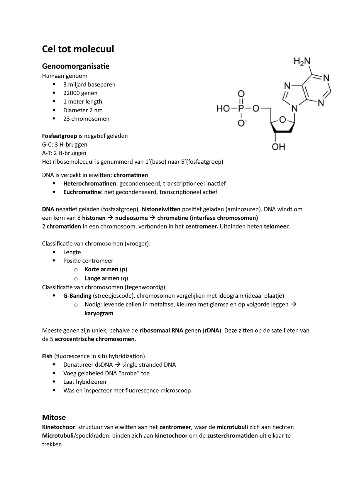 Cel Tot Molecuul Cel Tot Molecuul Genoomorganisatie Humaan Genoom 3