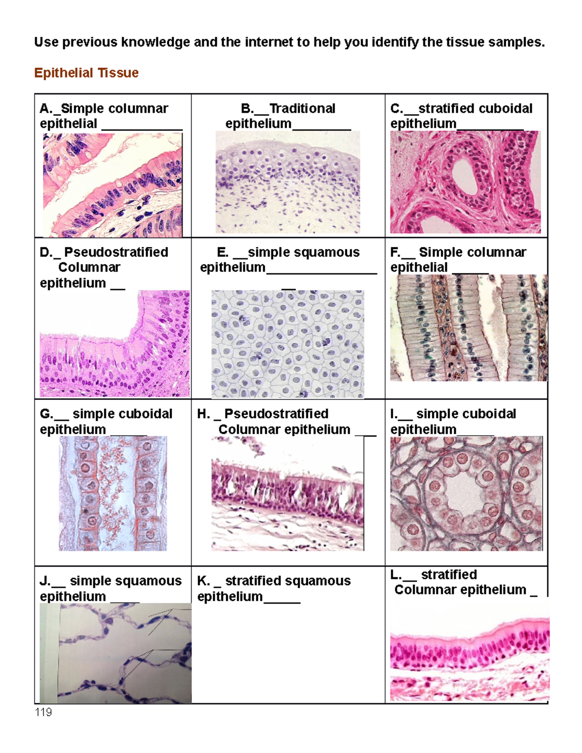 Tissue Pictures Identification practice - BIOL 6374 - UH - Studocu