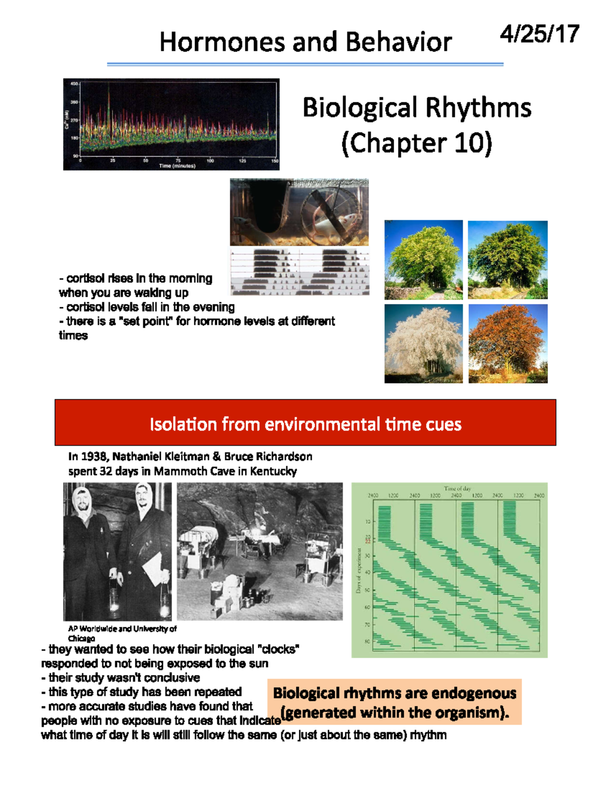 PSY440 Lecture 10 4-25-17 Notes - Hormones and Behavior 360 Biological ...