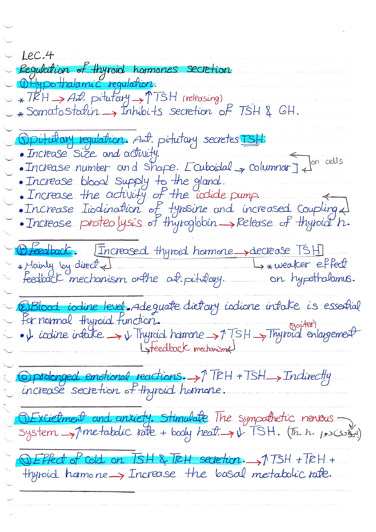 Phydio lec4 - histopathology - Studocu