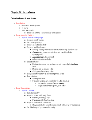 TAMU BIOL 112 Dr. Tag Chapter 27 Intro To Animal Diversity - Chapter 27 ...