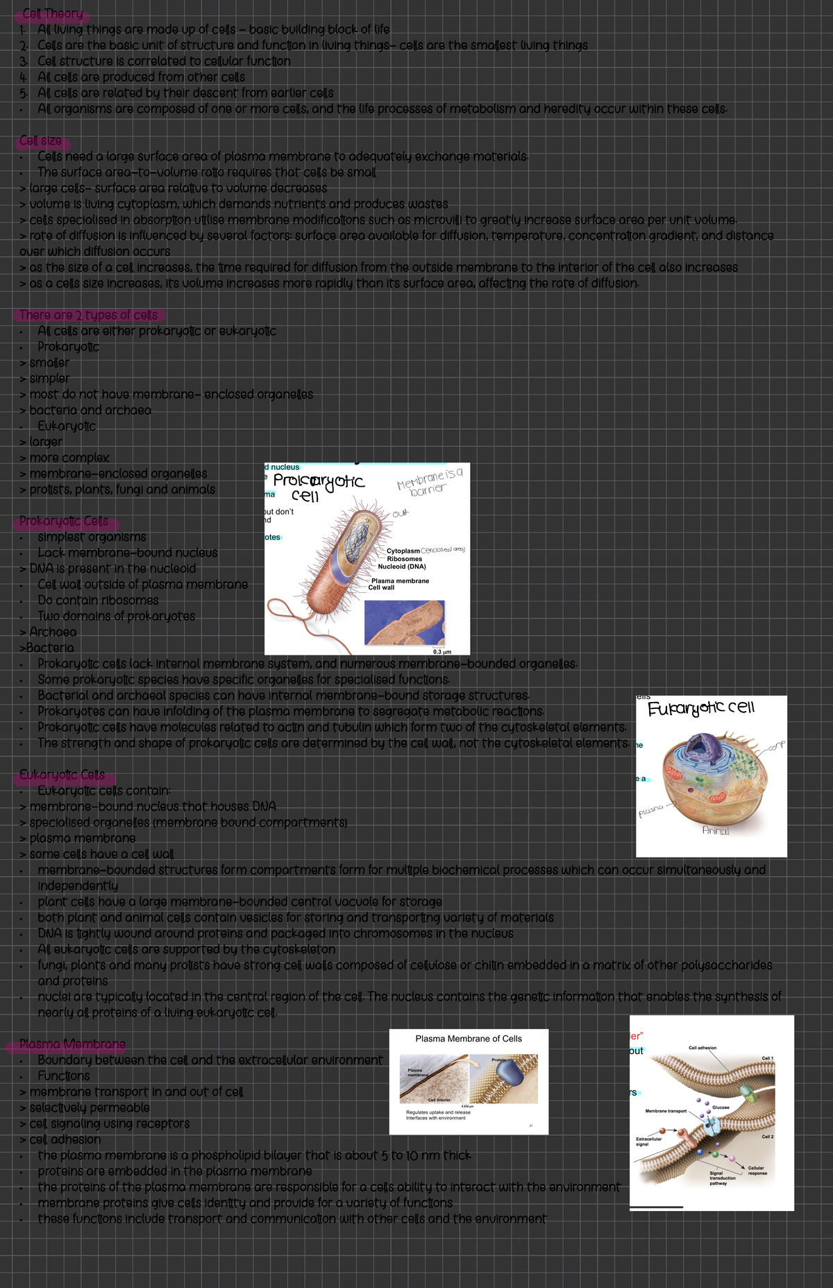 Week 2 Official Notes - Cell structure - Ce Theory A living things are ...