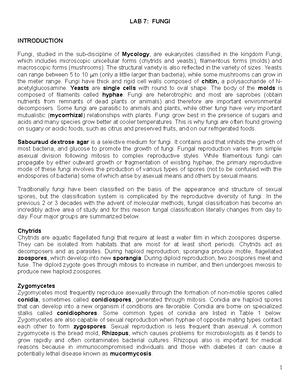 Lab2Part1 Microscopes Summer 2021 - Lab 2 Part 1: Care and Use of The ...