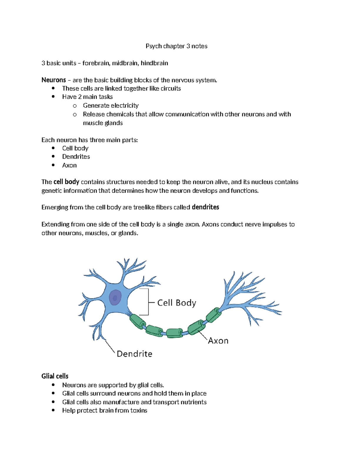 Psych chapter 3 notes - Psych chapter 3 notes 3 basic units – forebrain ...