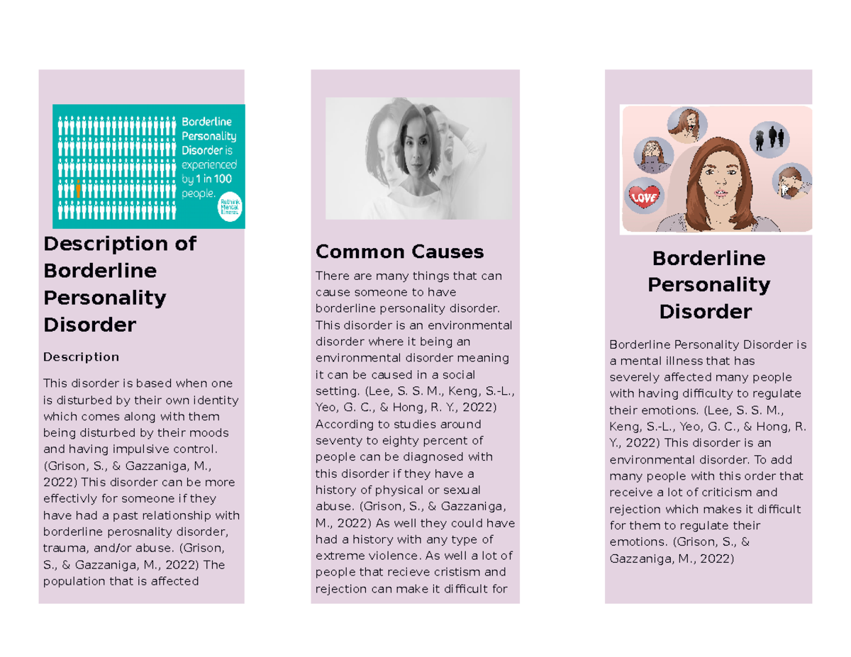 Psy 102 Rs T7 Psychological Disorder Brochure Description Of Borderline Personality Disorder