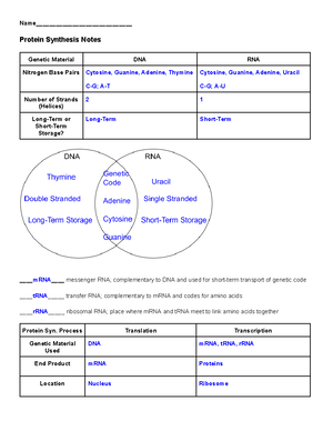 Unit 5 Study Guide Key - cell cycle notes - Studocu