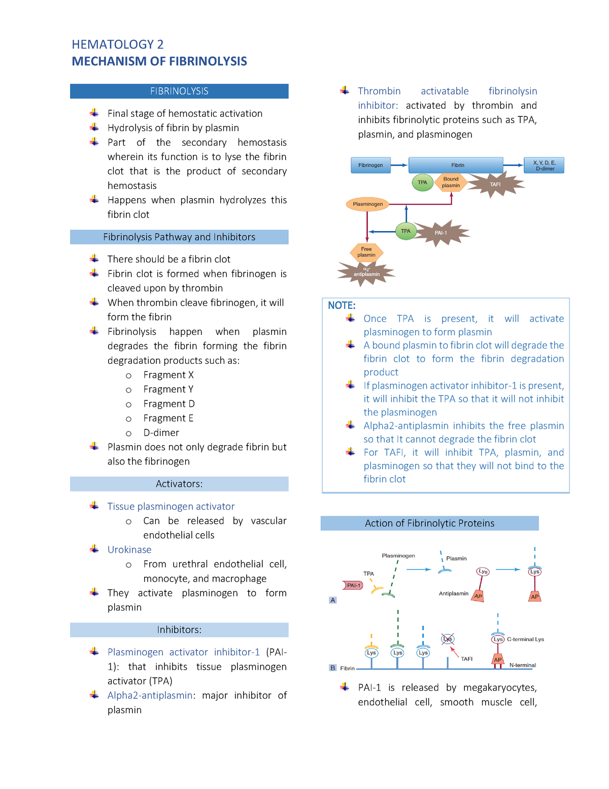 Mechanism Of Fibrinolysis - MECHANISM OF FIBRINOLYSIS FIBRINOLYSIS ...