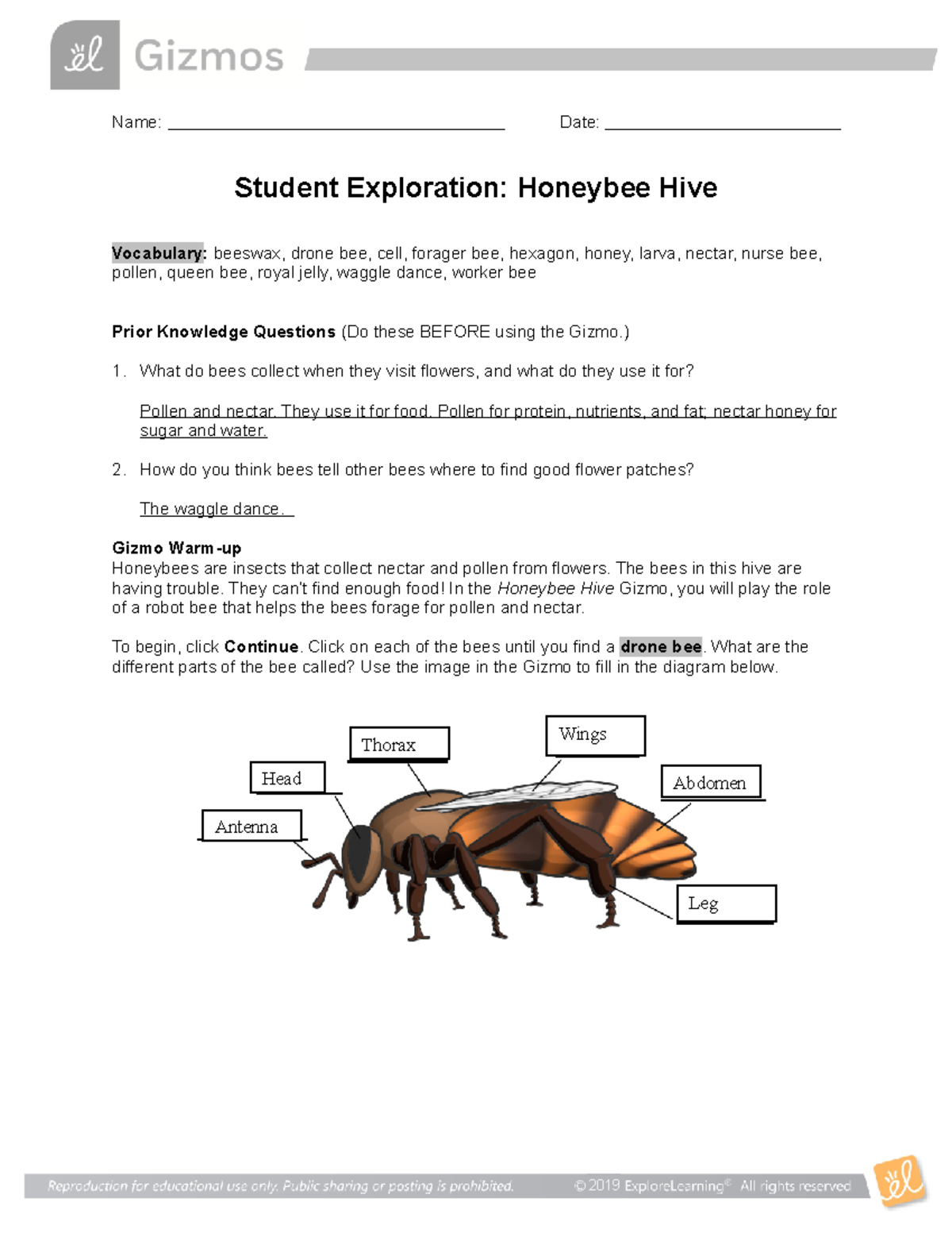 Honeybee Hive SELucy Bruh Name Date Student Exploration