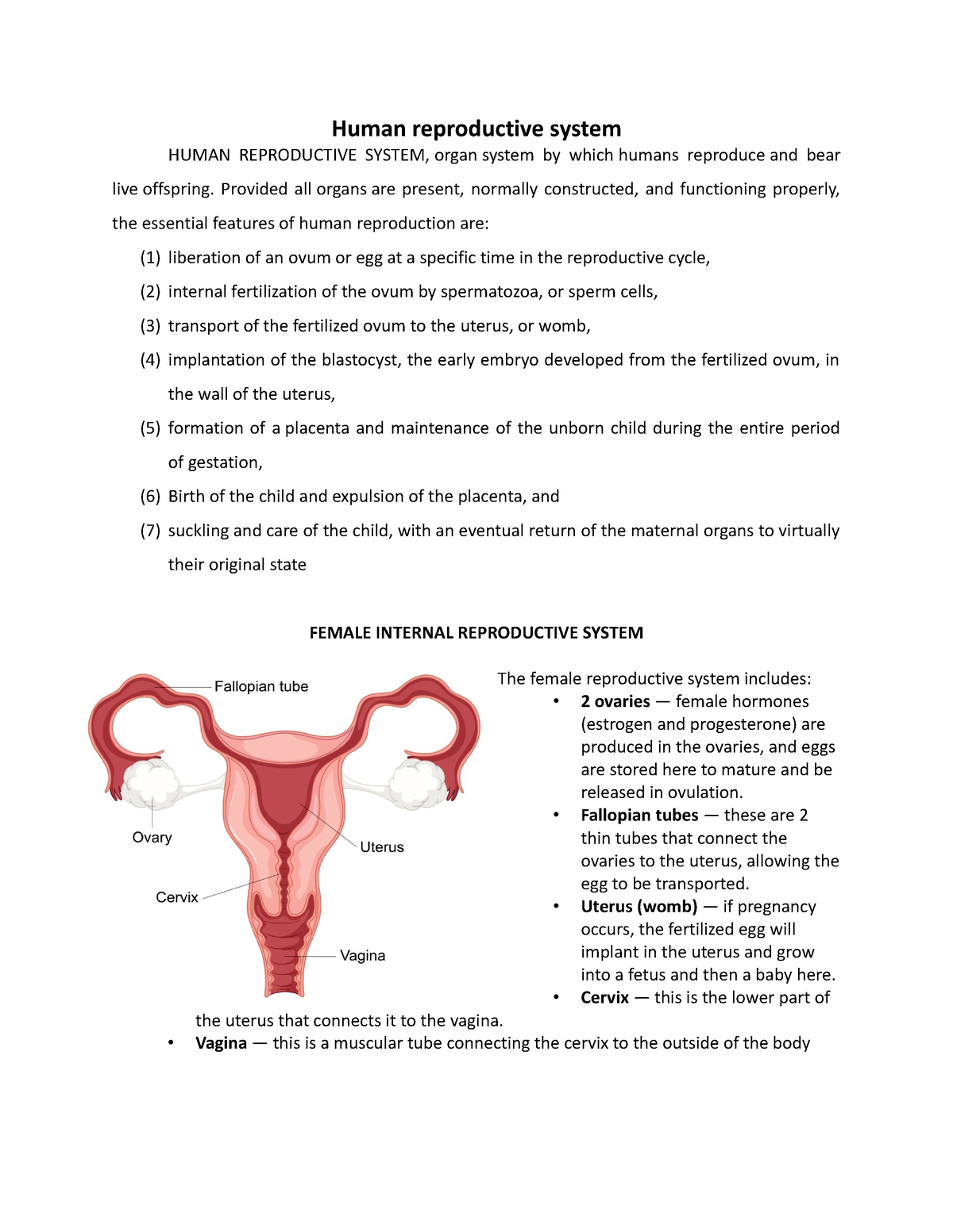 Human-reproductive-system - Human reproductive system HUMAN ...