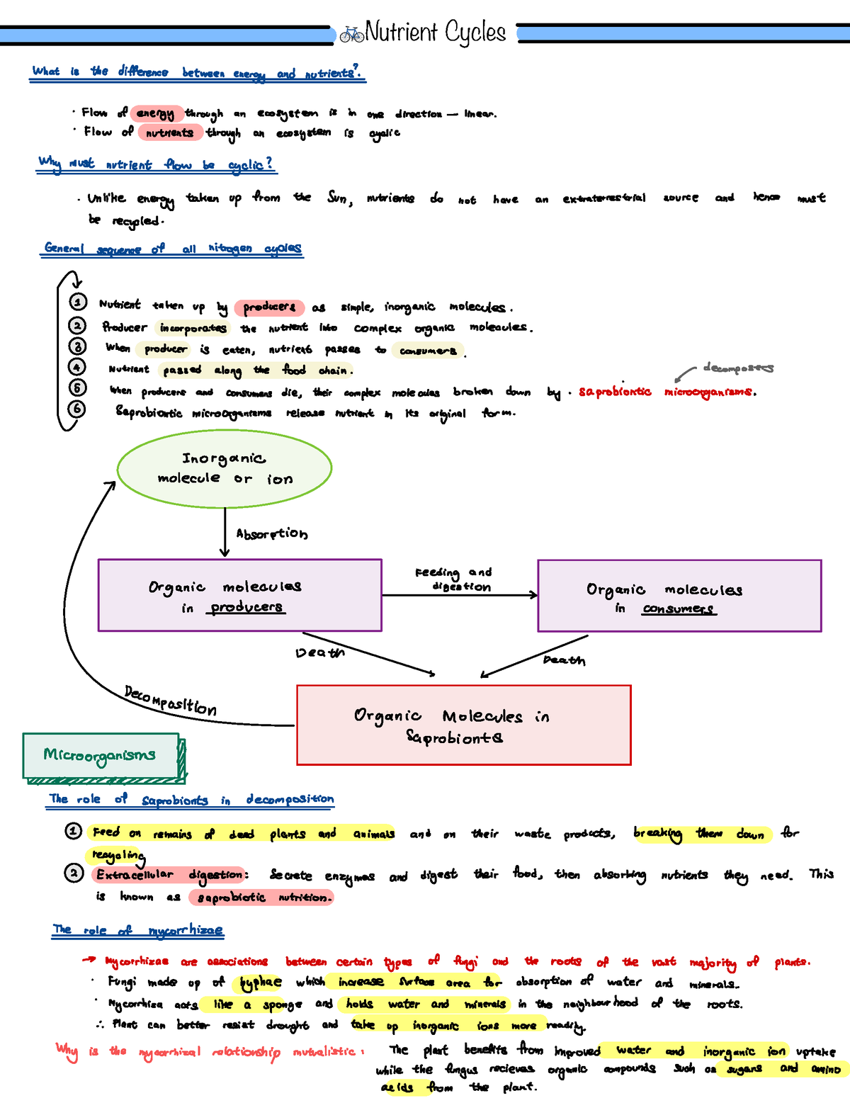 Nutrient Cycles Notes - 🚲 Nutrient Cycles What is the difference ...