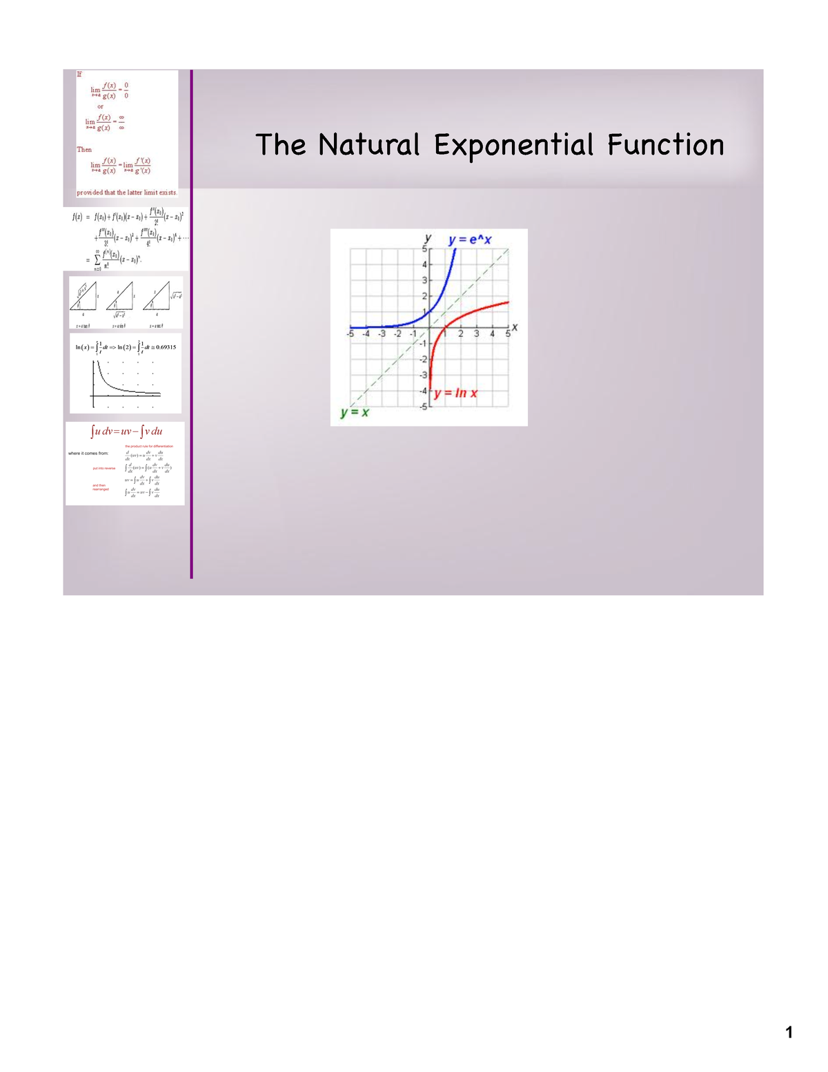 natural exponential function - The Natural Exponential Function ...