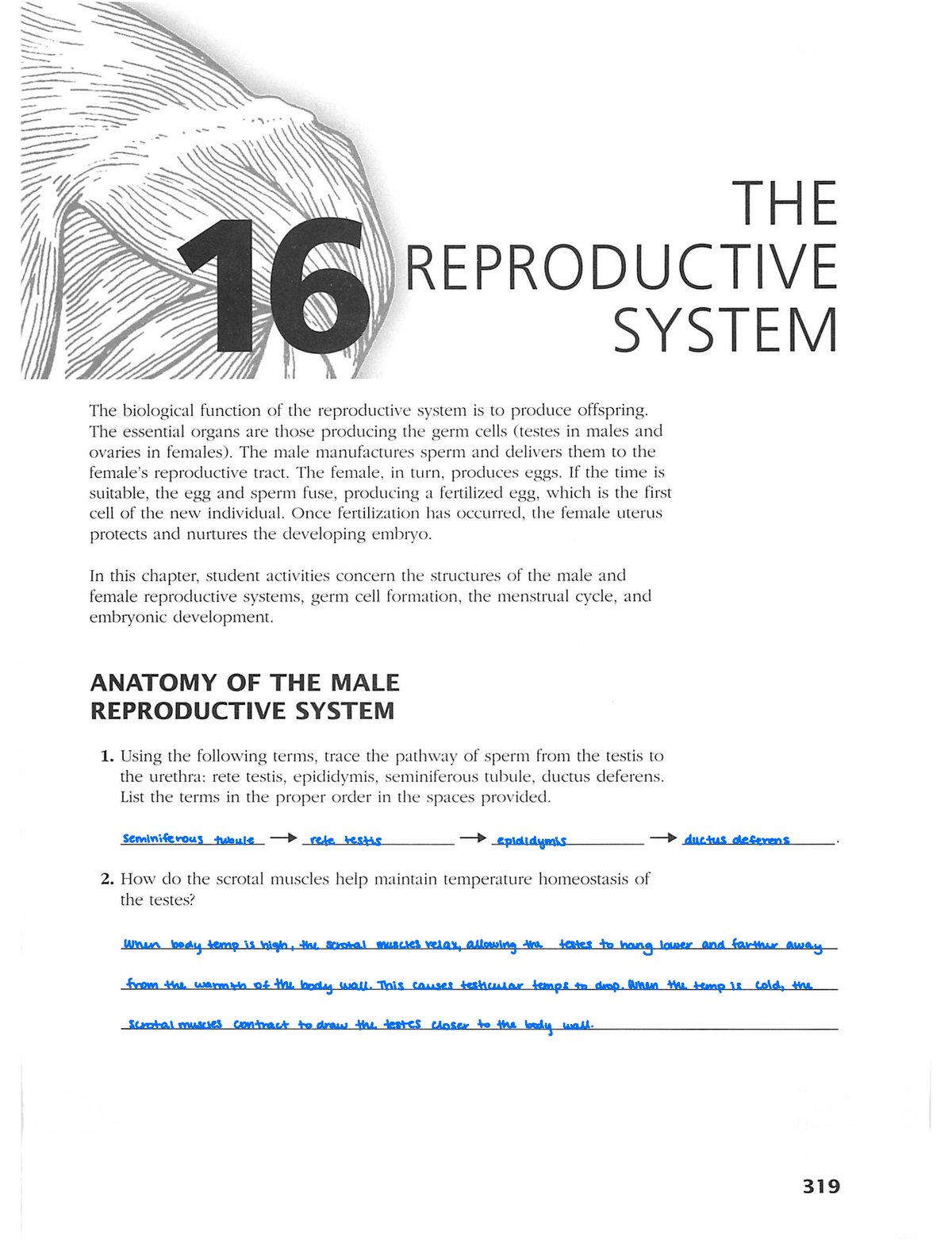 assignment on the topic reproductive system