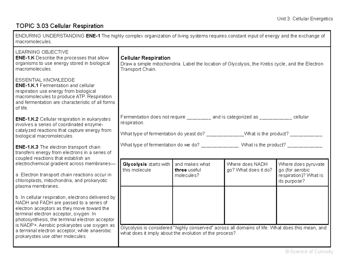 Ap Biology Module 3 03 Cellular Respiration Summative Review Guide Unit 3 Cellular Energetics